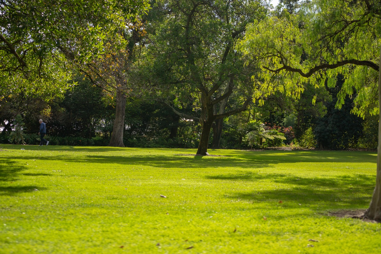 Kings Botanic Garden